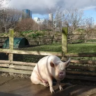 East London Community Landmarks Secure Future with New Long-Term Leases