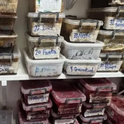 East London Council Seizes £5,000 in Illegal Vapes and Tobacco in Crackdown