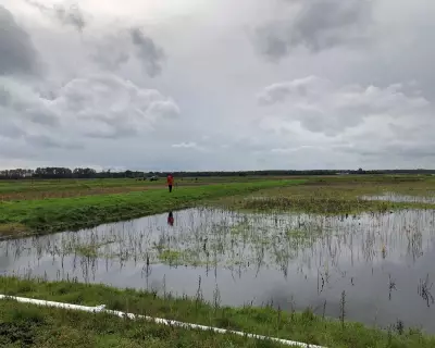 England's Land Use Framework: 7% of Land Allocated for Nature and Renewables