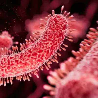 Harrow TB Cases Continue Rising, Action Plan Underway to Address Health Crisis