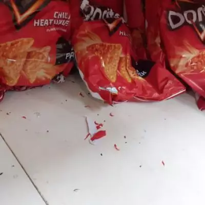 Iceland Supermarket Fined £300k Over Mice Infestation at East London Store