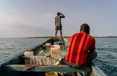 Illegal Fishmeal Factories Threaten Guinea-Bissau's Marine Ecosystem