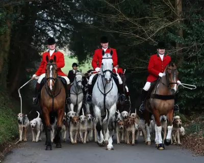 Labour Government Launches Public Consultation to Ban Trail Hunting in England and Wales