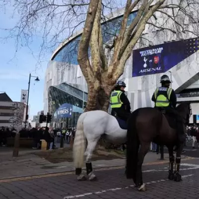 Met Police Cuts Reduce Horse Patrols at London Football Matches