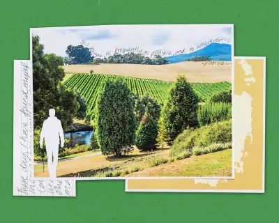 Mount Arthur's Quiet Truth: Nature as Reality, Not Escape