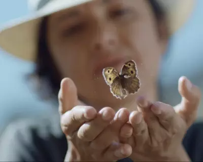 Rena Effendi's Butterfly Quest Reveals Family Secrets in Gripping Documentary