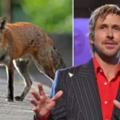 Ryan Gosling Champions London's Foxes as 'Cool as Hell' in BBC Radio 1 Interview