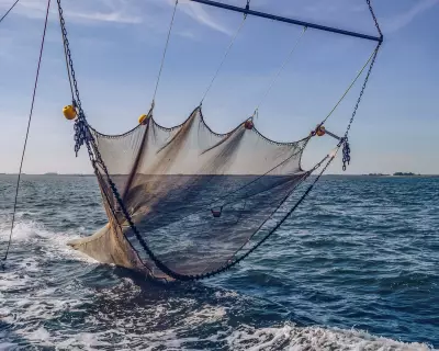 Scientists Urge Combined Action on Ocean Heating and Overfishing