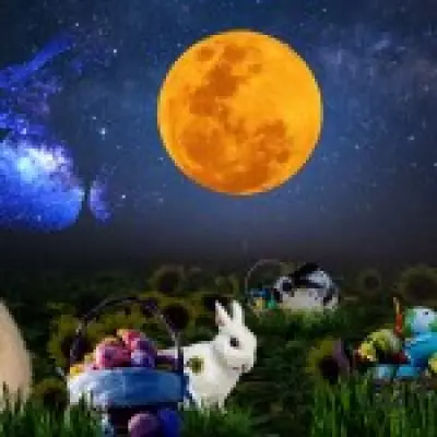 Spring Astrological Guide: One Essential Action for Each Zodiac Sign