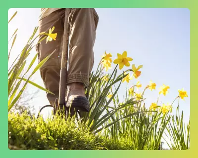 Spring Garden Revival: Expert Tips for Refreshing Your Outdoor Space