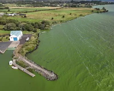 Superbug Genes Found in UK's Largest Lake, Threatening Drinking Water