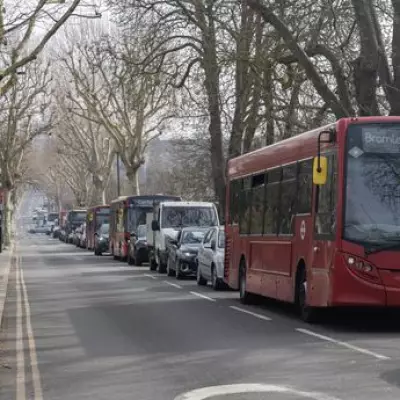 Thames Water Roadworks Cripple Lewisham Businesses Amid Traffic Chaos