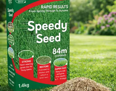 Why a £14 Grass Seed Box is Amazon's Top-Selling Garden Item This Spring