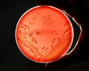 Antibiotic Pipeline 'Worryingly Thin' as Superbug Deaths Set to Double by 2050
