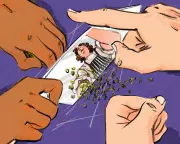 Beyond Noma: The Systemic Rot in Fine Dining Kitchens and Award Culture