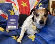 British Pet Owners Warned Against EU Passport 'Dodge' Post-Brexit