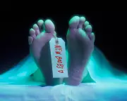 Cadaver Fat Injections: The Rise of 'Zombie Filler' in Cosmetic Surgery