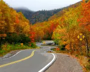 Canadian Veteran Challenges Nova Scotia Woods Ban in Constitutional Court Case