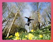 Celebrating the Start of Spring: Festive Ideas for Londoners