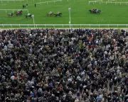 Cheltenham Festival 2026: Attendance and British Wins Rise Amid Fatalities and Fallouts