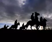 Cheltenham Festival 2026 Day Two: Champion Chase Thrills Live