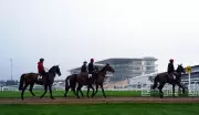 Cheltenham Festival Day One: The New Lion Poised for Champion Hurdle Victory
