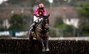 Cheltenham Festival Day Two: Expert Tips for Brown Advisory & Cross Country Chases
