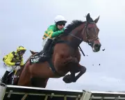 Cheltenham Festival: Racing's Leadership in Turmoil as Key Event Begins