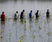 Climate Aid Reductions Pose Severe Threat to Developing Nations