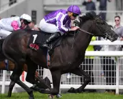 Computer Glitch Removes O'Brien Horses from 2,000 Guineas Race