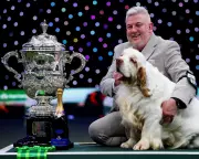 Crufts Winner's Animal Cruelty Conviction Sparks Channel 4 Complaints
