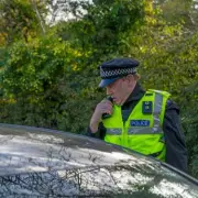 Driving Instructor Reveals How to Respond to Police Arm Signals on the Road