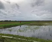 England's Land Use Framework: 7% of Land Allocated for Nature and Renewables