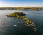Escape to Looe Island: A Secluded Nature Reserve in Cornwall