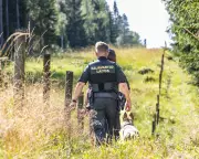 EU Environment Chief Urges Rewilding Borders for National Security Defense