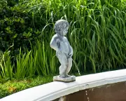 Expert Urinary Health Tips: How to Pee Correctly and Avoid Common Bladder Issues