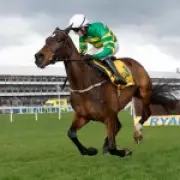 Fact To File Withdrawn from Cheltenham's Ryanair Chase Over Ground Conditions