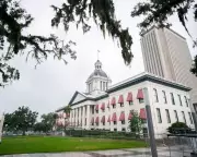 Florida's Proposed State Intelligence Office Could Trigger National Surveillance Expansion