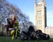 Green MP Accuses Farage of Trump-Style Election Denial in Manchester