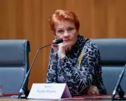 Hanson, Canavan Claim Solar Rebates Despite Criticizing Renewable Subsidies