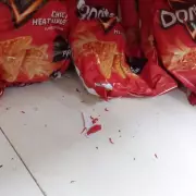 Iceland Supermarket Fined £300k Over Mice Infestation at East London Store