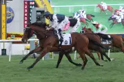 Invincible Ibis Favored to Win Hong Kong Derby Amid Draw and Form Analysis