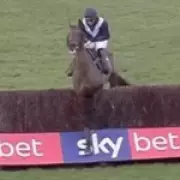 Jockey Suspended for 'Despicable' Treatment of Exhausted Horse at Fakenham