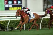 John Size's Contenders Poised for Victory at Happy Valley Races