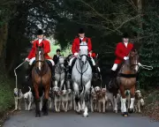 Labour Government Launches Public Consultation to Ban Trail Hunting in England and Wales