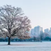London Braces for Snow Showers as Spring Warmth Gives Way to Arctic Blast