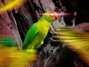 London's Parakeets: Ecological Menace or Vibrant Urban Icons?