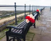 Memorial Benches Surge: Why Public Grieving Spaces Are Overwhelming UK Councils