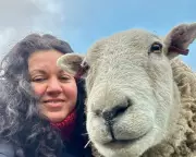 Merlin the Therapy Sheep: An Unforgettable Animal Companion's Healing Journey