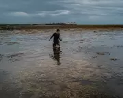 Mining for Green Energy Threatens Palawan's 'Last Ecological Frontier'